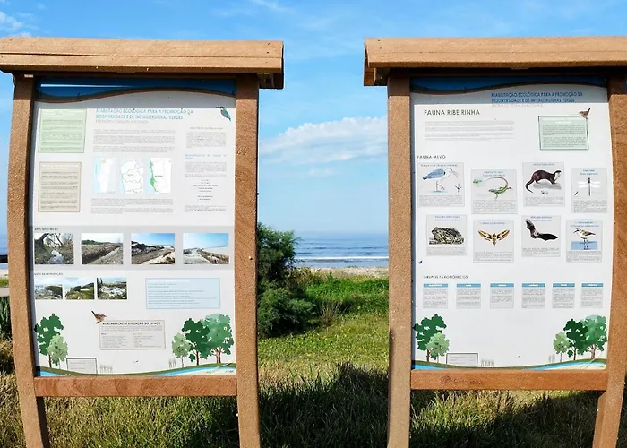 Casa By Anita 4* إسبونسيندي