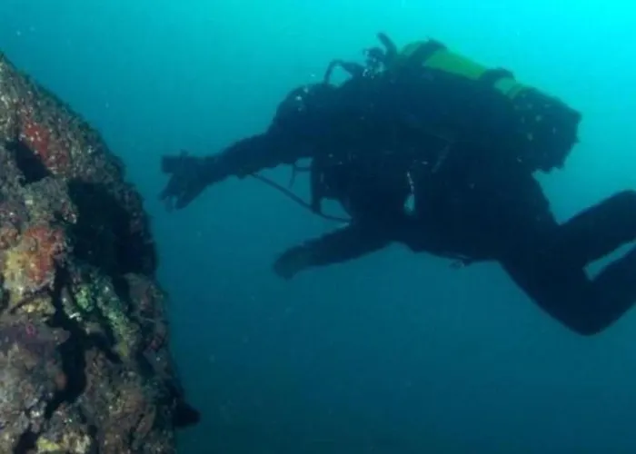 بيت ضيافة Casa By Anita إسبونسيندي